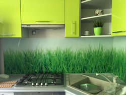 Kitchen With Grass Photo