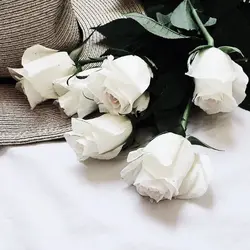 White roses in the bathroom photo