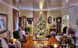 Christmas tree in the living room interior