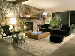 Rock in the living room interior