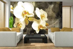 Orchids in the living room interior