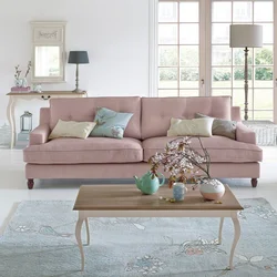 Powder sofa in the living room interior