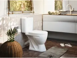 Floor-standing toilet in the bathroom interior