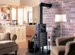 Cast iron stoves in the living room interior