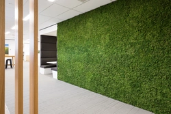 Artificial grass in the bathroom interior