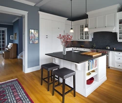 Gray paint for walls in the kitchen interior