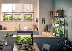 Зелень на кухне дизайн