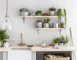 Greenery in the kitchen design