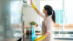 Kitchen cleaning photo