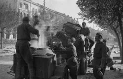 War in the kitchen photo