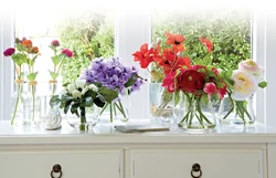 Peonies in the kitchen photo