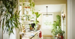 Flowers On Kitchen Cabinets Photo