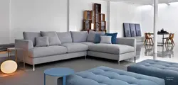 Long sofas in the living room photo