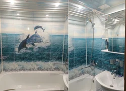 Dolphin bath panels photo