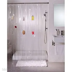 Bathtub With Shower Curtain Photo