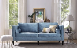 Sofas with legs in the living room interior photo