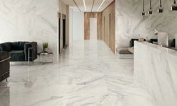 Photo of a kitchen with marbled porcelain stoneware floors