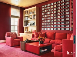 Mahogany interior living room