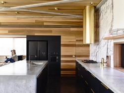 Kitchen interior with chrome