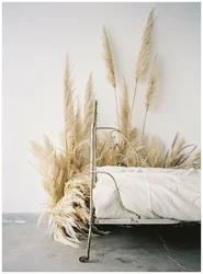 Reeds in the kitchen interior