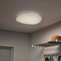 Surface-mounted lamp in the kitchen interior