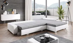 Large folding sofas for the living room photo