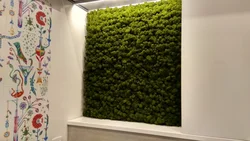 Stabilized moss in the bathroom interior photo