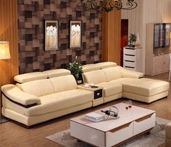 Inexpensive sofas for the living room photo