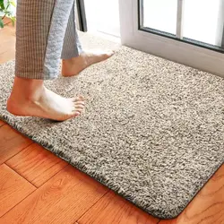 Door mat in apartment photo