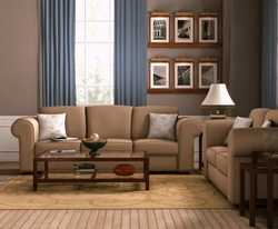 Мебель кофейного цвета в гостиной фото