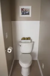 Paint A Toilet In An Apartment With Your Own Hands Photo Ideas