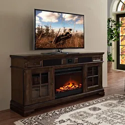 Electric Fireplaces For Apartments Inexpensively For TV Photo