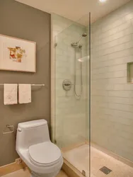 Design of a combined bathroom with shower partition