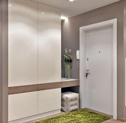 Hallway compartment in modern style photo