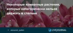 Фото цветов которые нельзя ставить в спальне