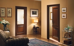 Living Room Doors Apartment Design