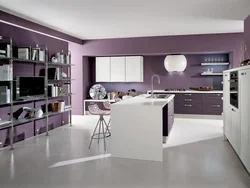 Lilac gray kitchen interior