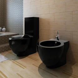 Bathroom design with black toilet