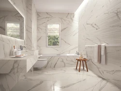 Porcelain tiles in the bathroom interior