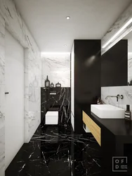 Bathroom design in black and white marble