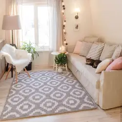 Carpets in the interior of the living room in the apartment photo