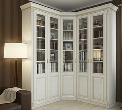 Bookcase in the living room interior photo in a city apartment