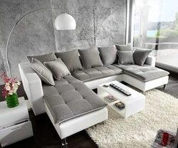 Sofas in the interior of the living room house