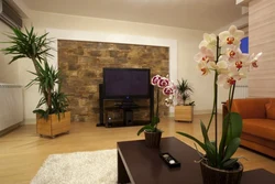Living room with flowers photo room