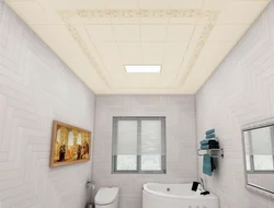 Cassette Ceiling In The Bath Photo