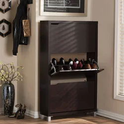 Hallway design shoe cabinet