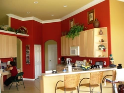 Paint the kitchen with water-based paint photo
