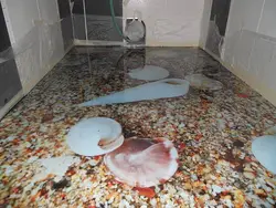 Photo Of Bathroom Floors