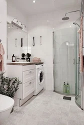 Small Bath With Shower And Washing Machine Design Photo