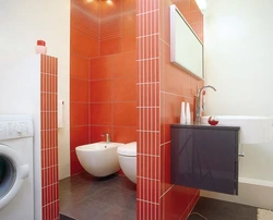 Partition between bathtub and toilet photo